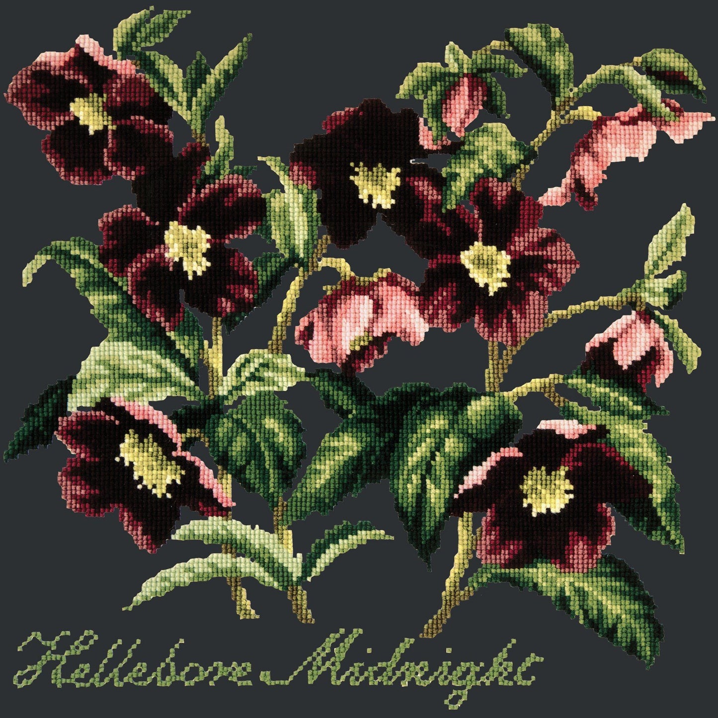 Hellebore Midnight Needlepoint Kit Elizabeth Bradley Design Black