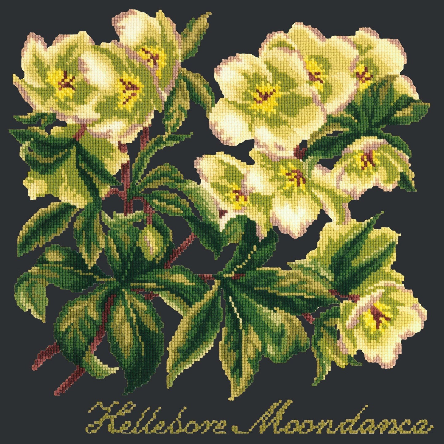 Hellebore Moondance Needlepoint Kit Elizabeth Bradley Design Black