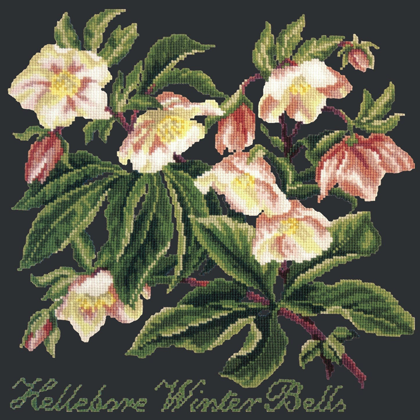 Hellebore Winter Bells Needlepoint Kit Elizabeth Bradley Design Black