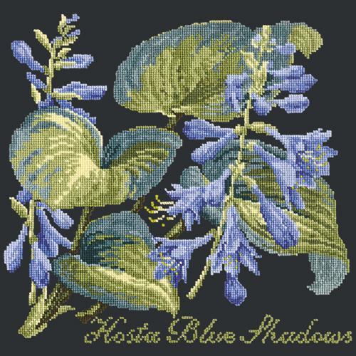 Hosta Blue Shadows Needlepoint Kit Elizabeth Bradley Design Black