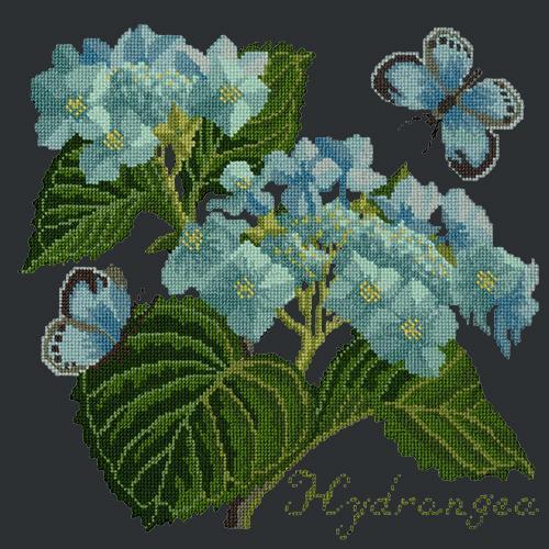 Hydrangea Needlepoint Kit Elizabeth Bradley Design Black