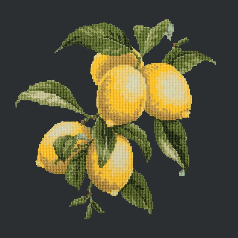 Lemons Needlepoint Kit Elizabeth Bradley Design Black
