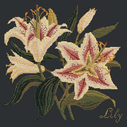 Lily Needlepoint Kit Elizabeth Bradley Design Black