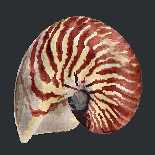 Nautilus Needlepoint Kit Elizabeth Bradley Design Black