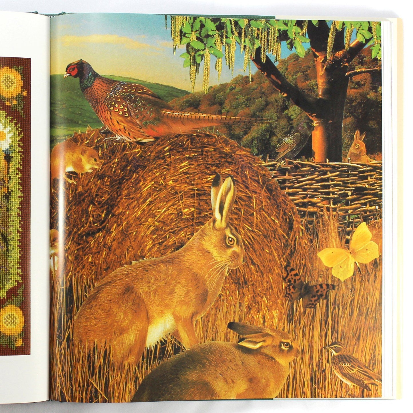 Needlework Animals Accessories Elizabeth Bradley Design