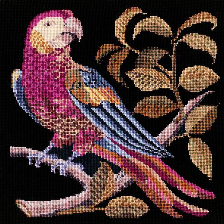 Pete the Parrot Needlepoint Kit Elizabeth Bradley Design Black