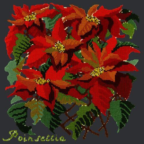 Poinsettia Needlepoint Kit Elizabeth Bradley Design Black