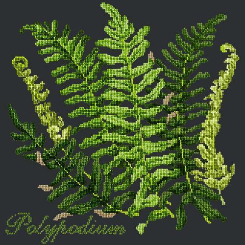 Polypodium Needlepoint Kit Elizabeth Bradley Design Black