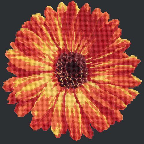 Pot Marigold Needlepoint Kit Elizabeth Bradley Design Black