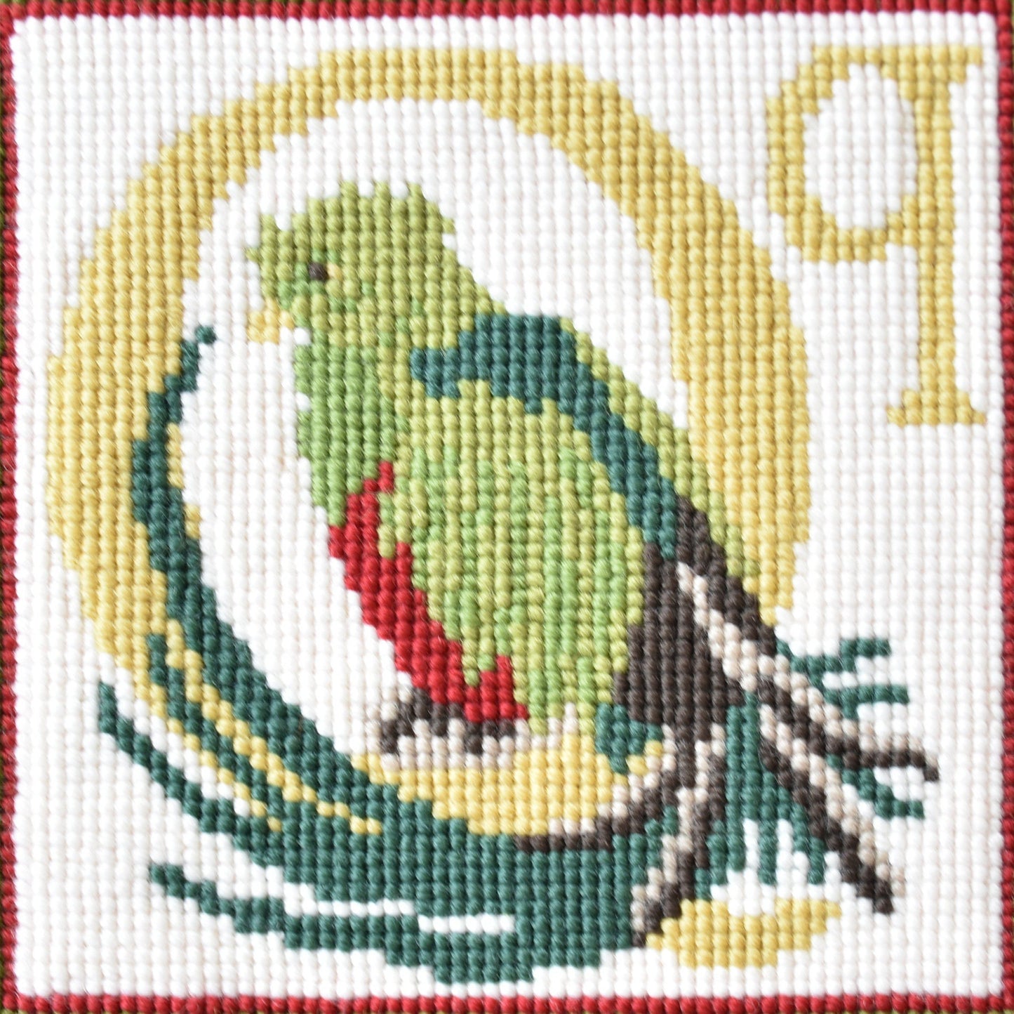 Q-Quetzal Needlepoint Kit Elizabeth Bradley Design