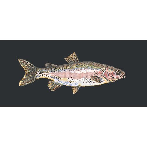 Rainbow Trout Needlepoint Kit Elizabeth Bradley Design Black