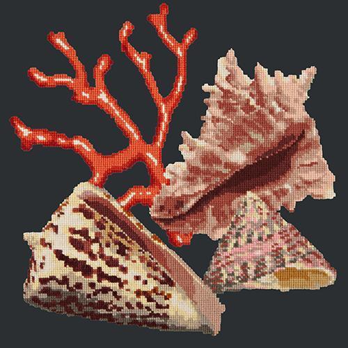 Red Coral Needlepoint Kit Elizabeth Bradley Design Black