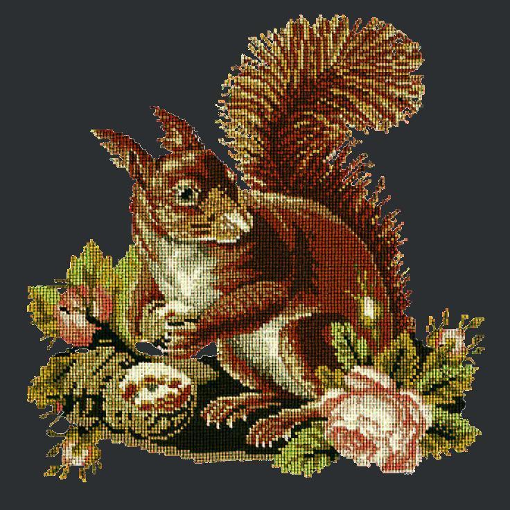 The Squirrel Needlepoint Kit Elizabeth Bradley Design Black