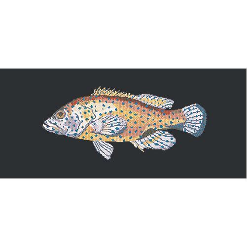 Vermilion Seabass Needlepoint Kit Elizabeth Bradley Design Black