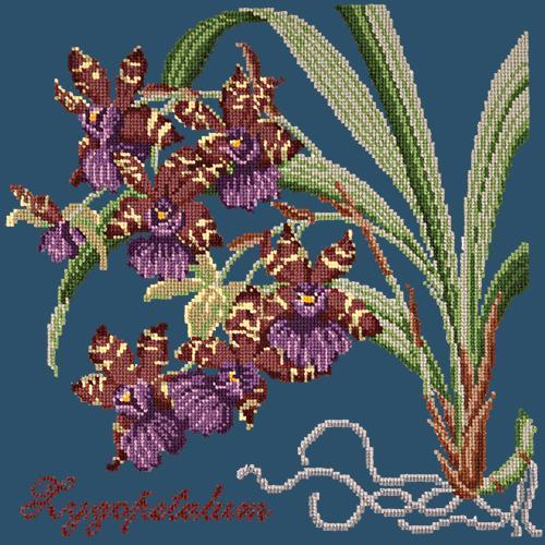 Zygopetalum (Ladybird Orchid) Needlepoint Kit Elizabeth Bradley Design Dark Blue