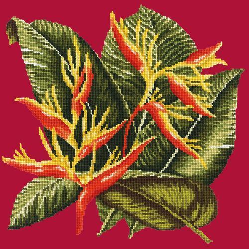 Heliconia Needlepoint Kit Elizabeth Bradley Design Bright Red 