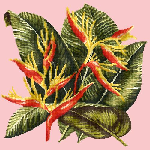 Heliconia Needlepoint Kit Elizabeth Bradley Design Pale Rose 