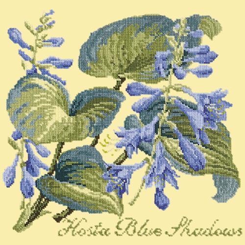 Hosta Blue Shadows Needlepoint Kit Elizabeth Bradley Design Butter Yellow 