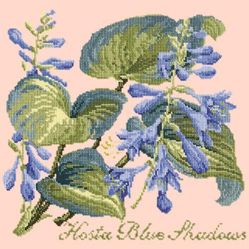 Hosta Blue Shadows Needlepoint Kit Elizabeth Bradley Design Salmon Pink 