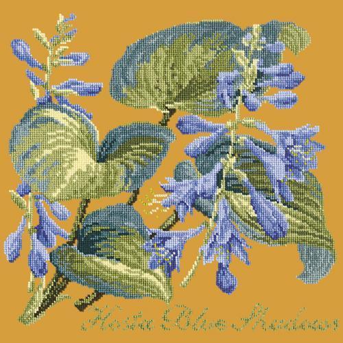 Hosta Blue Shadows Needlepoint Kit Elizabeth Bradley Design Yellow 