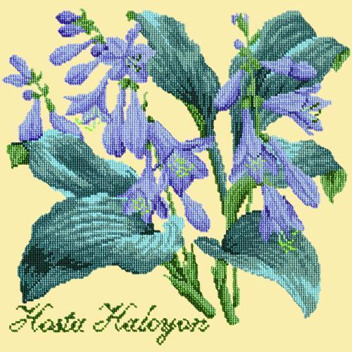 Hosta Halcyon Needlepoint Kit Elizabeth Bradley Design Butter Yellow 