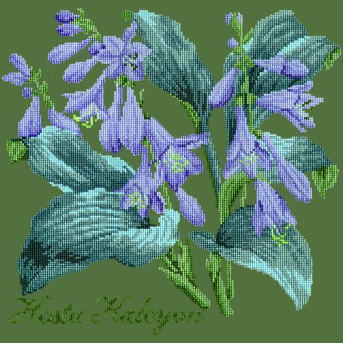 Hosta Halcyon Needlepoint Kit Elizabeth Bradley Design Dark Green 