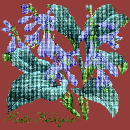 Hosta Halcyon Needlepoint Kit Elizabeth Bradley Design Dark Red 