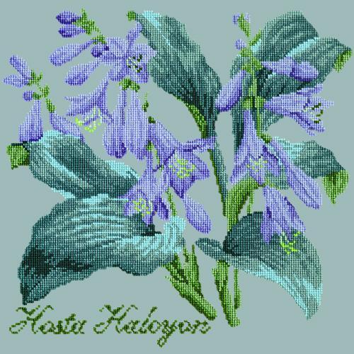 Hosta Halcyon Needlepoint Kit Elizabeth Bradley Design Pale Blue 