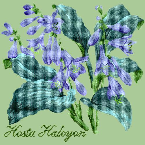 Hosta Halcyon Needlepoint Kit Elizabeth Bradley Design Pale Green 