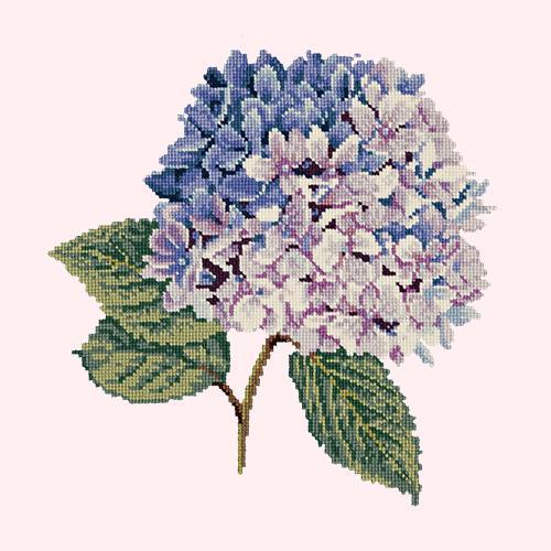 Hydrangea Needlepoint Kit Elizabeth Bradley Design Cream 