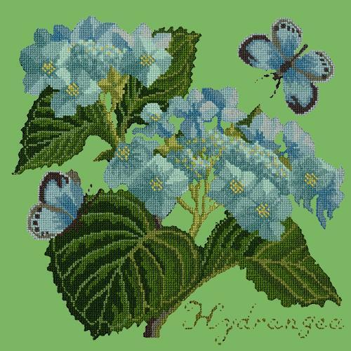 Hydrangea Needlepoint Kit Elizabeth Bradley Design Grass Green 