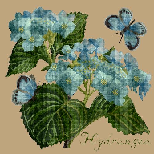 Hydrangea Needlepoint Kit Elizabeth Bradley Design Sand 