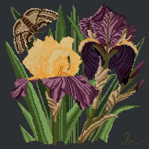 Iris Needlepoint Kit Elizabeth Bradley Design Black 
