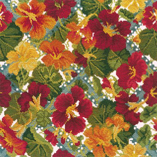 Nasturtium Trellis Needlepoint Kit Elizabeth Bradley Design Cream 