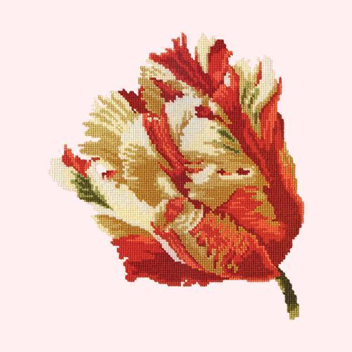 Parrot Tulip Needlepoint Kit Elizabeth Bradley Design Cream 