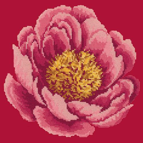 Peony Needlepoint Kit Elizabeth Bradley Design Bright Red 