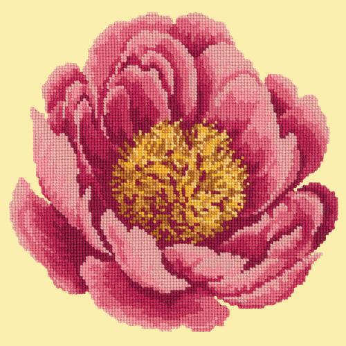 Peony Needlepoint Kit Elizabeth Bradley Design Butter Yellow 