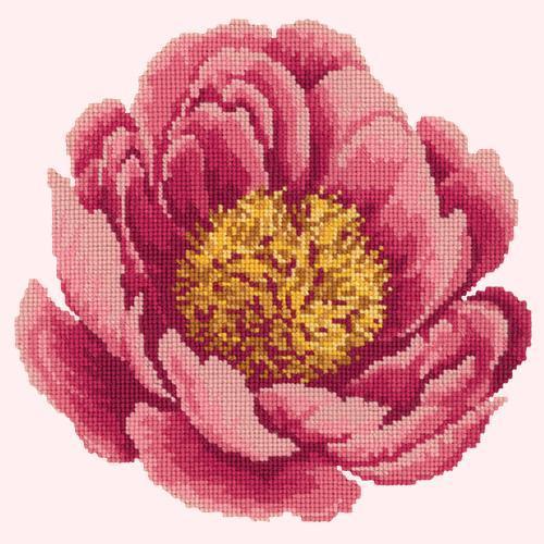 Peony Needlepoint Kit Elizabeth Bradley Design Cream 