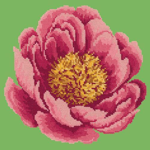 Peony Needlepoint Kit Elizabeth Bradley Design Grass Green 