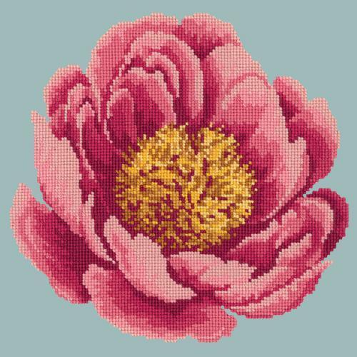 Peony Needlepoint Kit Elizabeth Bradley Design Pale Blue 