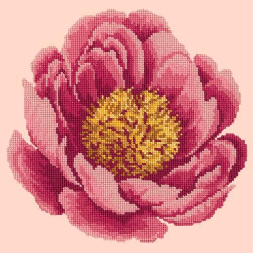 Peony Needlepoint Kit Elizabeth Bradley Design Salmon Pink 