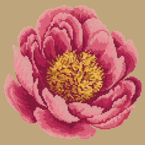 Peony Needlepoint Kit Elizabeth Bradley Design Sand 