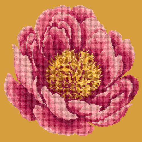 Peony Needlepoint Kit Elizabeth Bradley Design Yellow 