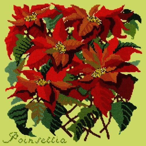 Poinsettia Needlepoint Kit Elizabeth Bradley Design Pale Lime 