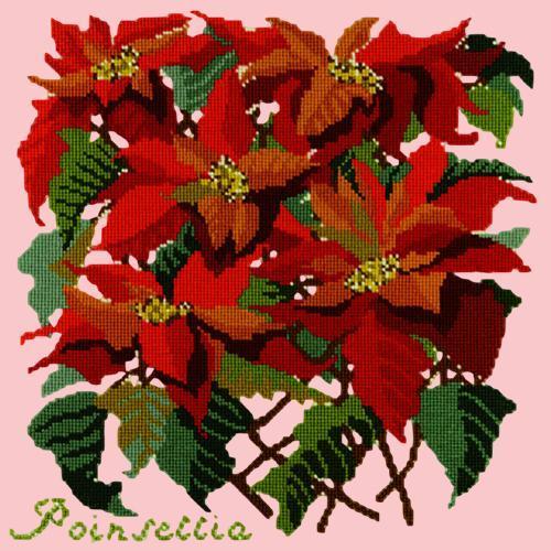 Poinsettia Needlepoint Kit Elizabeth Bradley Design Pale Rose 