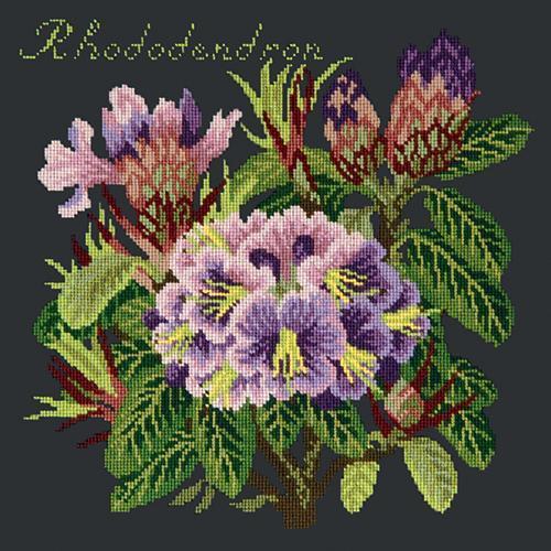 Rhododendron Needlepoint Kit Elizabeth Bradley Design Black 