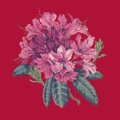 Rhododendron Needlepoint Kit Elizabeth Bradley Design Bright Red 