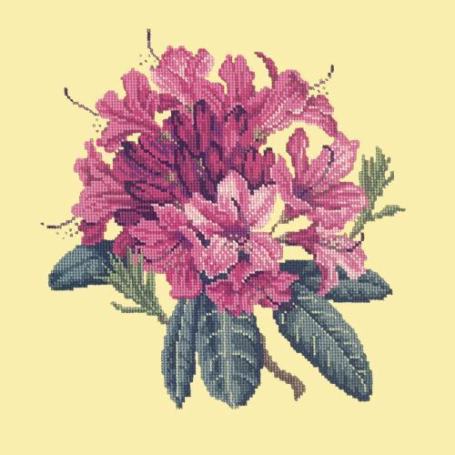 Rhododendron Needlepoint Kit Elizabeth Bradley Design Butter Yellow 