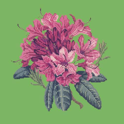 Rhododendron Needlepoint Kit Elizabeth Bradley Design Grass Green 