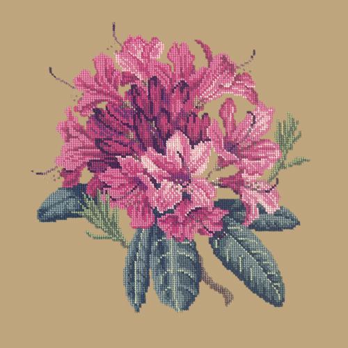 Rhododendron Needlepoint Kit Elizabeth Bradley Design Sand 